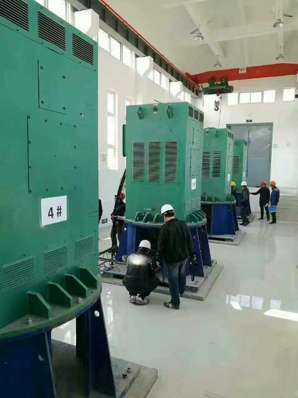 YKK4003-6某污水处理厂使用我厂的立式高压电机安装现场